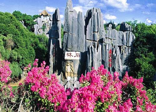 �������������������������8��7����