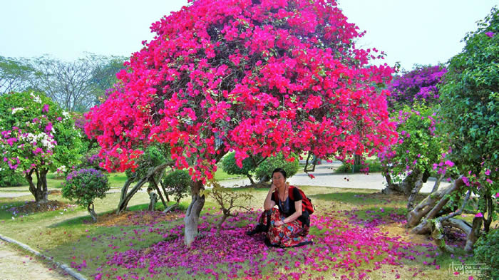 �ȴ�����԰