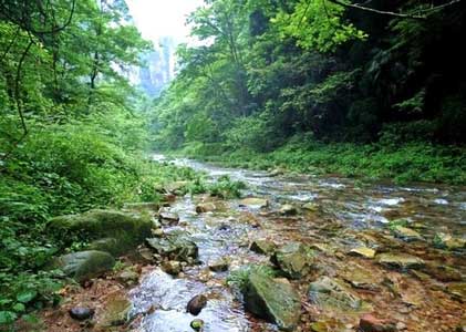 ����ɳ��ɽ�żҽ��˹ų�˫��6�� ��